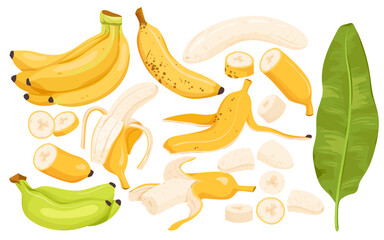 Big set of single half peeled fresh banana ready for eating or cooking healthy summer yummy desserts, organic sweet tropical food for vegan diet. Open banana with peel vector illustration