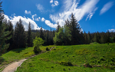 The beautiful landscape of Olczyska Glade. Tatra Mountains.