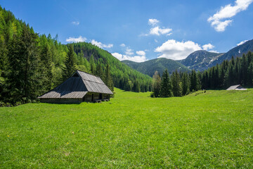 Old huts in the Jaworzynka Valley. Tatra Mountains.