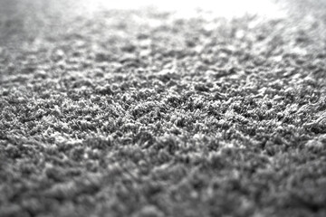 White texture background of the furry carpet