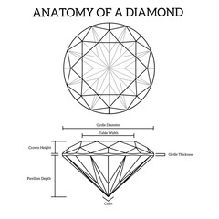 Anatomy of a diamond scheme. Brilliant shapes and naming. Vector EPS format - obrazy, fototapety, plakaty