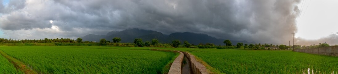 Fototapeta na wymiar Panorama View of Most Beautiful Agricultural Rice Field Landscape in India. Western Ghat Mountains with Dark Rainy Clouds on Panoramic View.