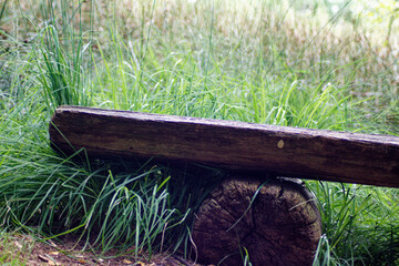 Bank im Wald