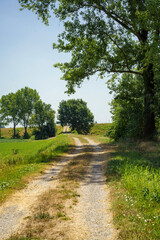 Fototapeta na wymiar Rural landscape near Zibello, Parma province, Italy