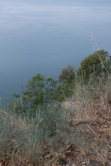 View from the top of the mountain