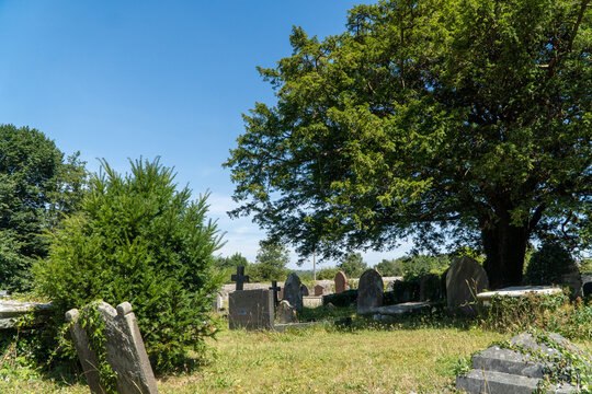 old cemetery in the summer