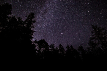 nightscape, night full of stars, view into the bright night sky with the Galaxy of Andromeda in the centre