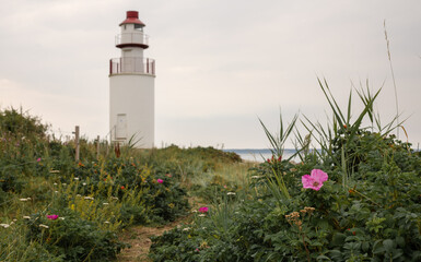 lighthouse on the coast
