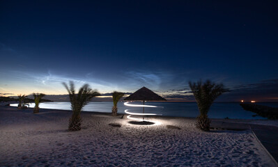 Night sky palm beach