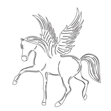 pegasus with wings sketch on white background isolated