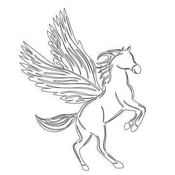 pegasus with wings sketch on white background isolated, vector