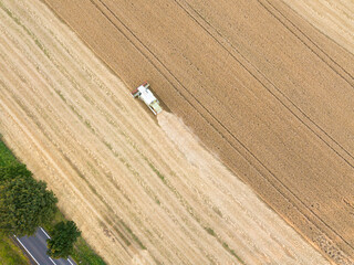 Obraz premium Harvester in wheat field with road green lane. Environment, agriculture industry background