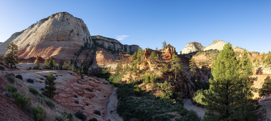 American Mountain Landscape. Sunny Morning Sky. Zion National Park, Utah, United States of America. Nature Background Panorama