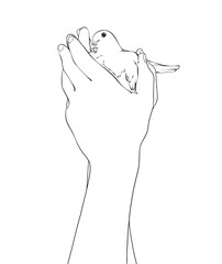 A human's hand is holding a bird. Vector friendly emblem for logo design . Line style, Print, graphic style.