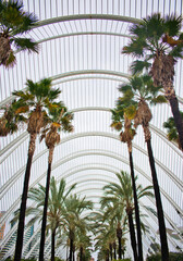 Ciudad de la ciencia Valencia