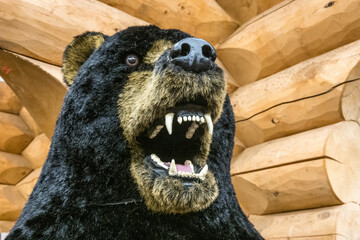 Detail of a stuffed or model black or grizzly bear head