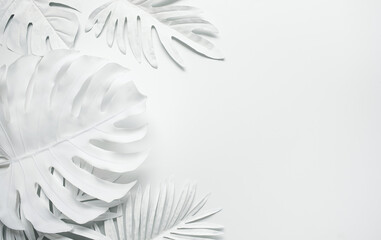 Collection of tropical leaves,foliage plant in white.Abstract leaf decoration design background.