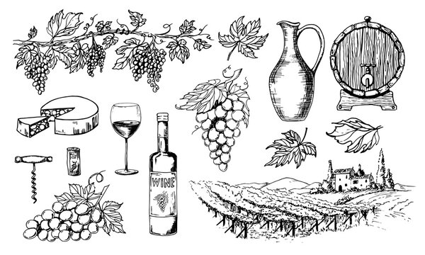 Glass Wine bottle and vine bunches. Tuscany landscape with vineyard. Hand drawn Sketch for label or bar menu. Vintage drawing of grape and oak wooden barrel. Vector illustration in engrave style