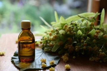 Bottle of essential oil and linden blossoms on wooden table against blurred background, closeup