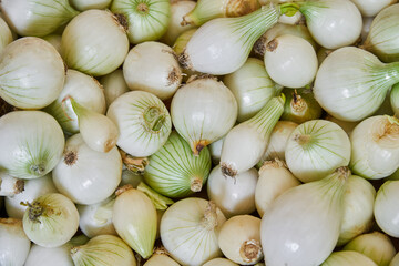 White onions placed on a shelf for sale within a market