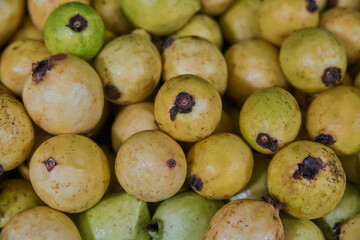 Juicy guavas placed on a shelf for sale inside a market
