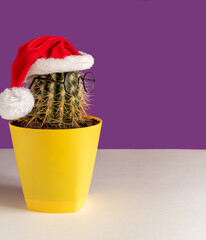 Cactus with glasses in Santa hat, in yellow pot, on white table, purple background. Selective focus.