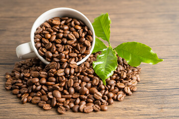 Coffee bean medium roasted with leaf in fresh morning.