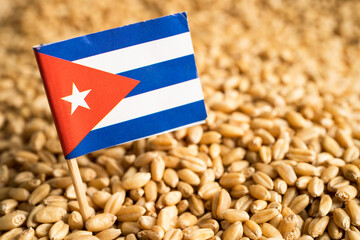 Grains wheat with Cuba flag, trade export and economy concept.