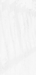 Abstract blurred background. The shadow reflection of leaves and gray light lines. on the white surface concrete wall. for wallpaper, backdrop and design.