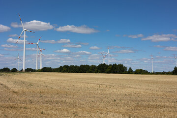 Harvested Field with wind turbines. Blue sky with few clouds and forest in the background.