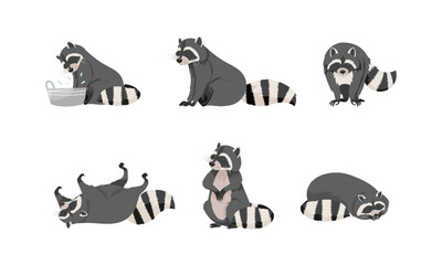 Funny Raccoon with Dexterous Front Paws and Ringed Tail Vector Set