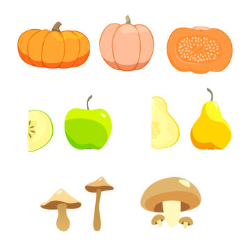 Set of autumn vegetables, fruits, mushrooms, seasonal illustration elements, pumpkin in section, isolated on white background