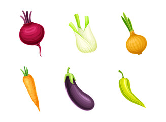 Ripe Vegetable as Organic Food with Beetroot and Onion Bulb Vector Set