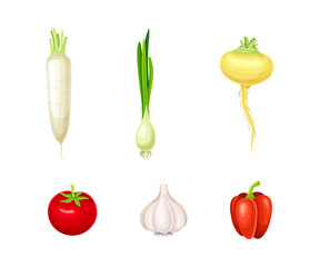 Ripe Vegetable as Organic Food with Red Tomato and Bell Pepper Vector Set