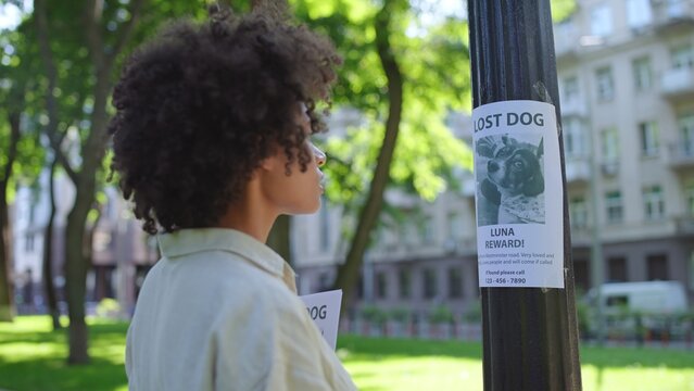 Woman trying to find her lost dog, placing missing pet posters, city volunteer
