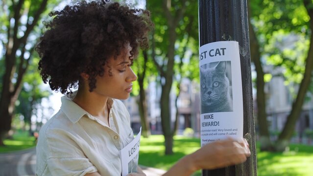 Female animal shelter volunteer hanging posters with missing cat around city