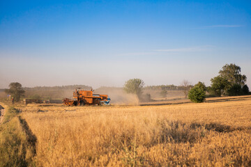 Combine harvester in action on wheat field. Harvesting is the process of gathering a ripe crop from...
