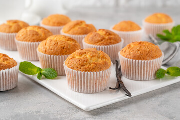 Fresh baked Vanilla cupcakes with mint, selective focus, copy space.