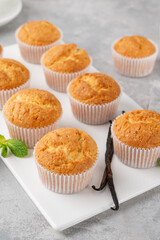 Fresh baked Vanilla cupcakes with mint, selective focus, copy space.