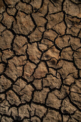 Dry cracked soil