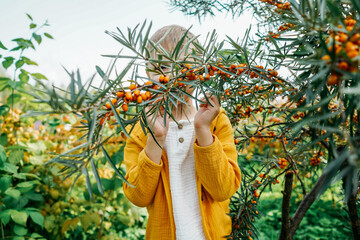 Little boy holding a sea buckthorn branch.