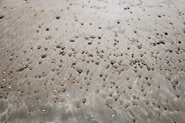 Los Genoveses Beach (Almeria, Spain)