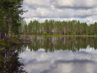 Fototapeta na wymiar Patvinsuo National Park in Finland: Northern European nature, Suomunjarvi lake.