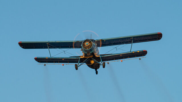 Historical biplane flying. Single engine aircraft designed in 1947. Old utility plane used in forestry and agriculture for crop-spraying.