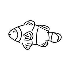Clown fish color line illustration. Ocean fishes