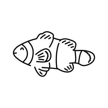 recommend clip art: Clown fish color line illustration. Ocean fishes