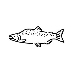 Pink salmon color line illustration. Ocean fishes