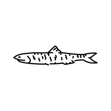 recommend clip art: Anchovy color line illustration. Ocean fishes