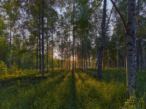 Nature around Uusi Valamo orthodox monastery in Finnish Heinavesi.