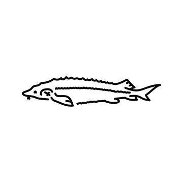 recommend clip art: Dolphin color line illustration. Ocean fishes